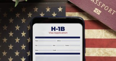 The H-1B visa changes highlight another lesser-known immigration ticket: the 'Einstein' visa