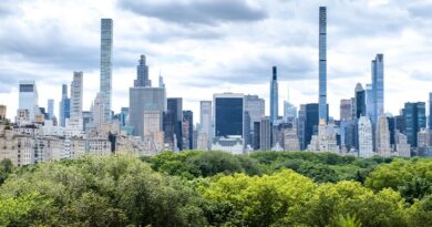 The Resiliency Playbook: How Leaders are Navigating Transformation and Embracing Efficiency