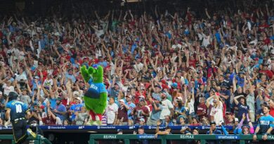 This summer's hottest stadium sensation: Fans caught on camera