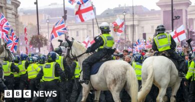 Tommy Robinson tapping into disquiet in country, says minister