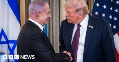 Trump and Netanyahu agree new US peace plan for Gaza
