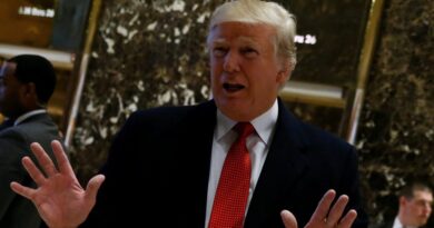 Trump announces a flurry of tariffs on pharmaceuticals, trucks, and furniture
