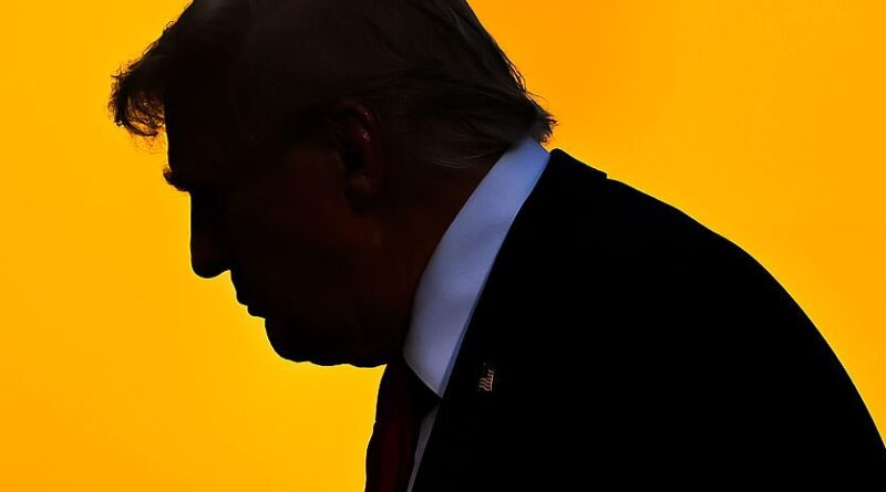 silhouette of U.S. President Donald Trump