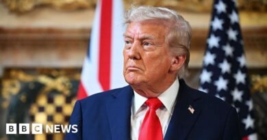 Trump orders deployment of troops to Portland and authorises 'full force'