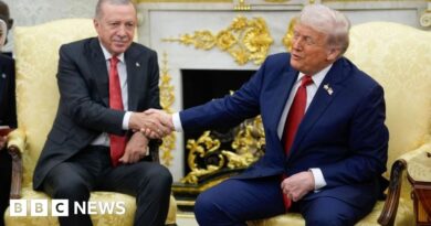 Trump urges Turkey to stop buying Russian oil as Erdogan chases deal on F-35s