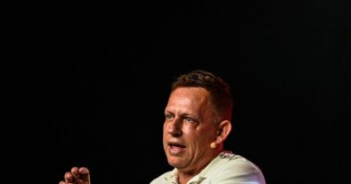 Trump’s Golden Dome: Costly, Wasteful, With Contracts for Palantir