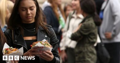 Turkey abandons food fight to force doner kebab rules on Europe