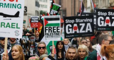 UK Labour Party members vote to recognise Gaza genocide at conference