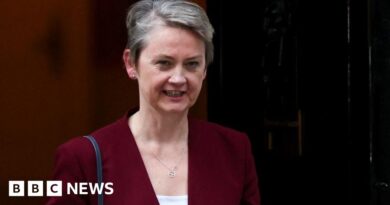 UK has warned Israel not to retaliate against Palestinian statehood push, Cooper tells BBC