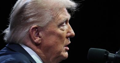 US Supreme Court to decide legality of Trump’s tariffs