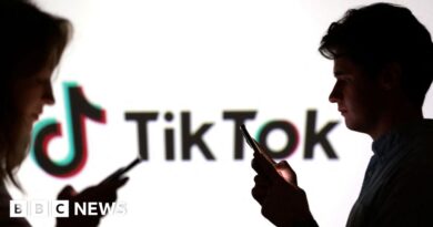 US says framework for deal on future of TikTok ownership agreed with China