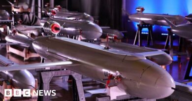 Ukraine launches massive drone attack on Russia as two killed in Sumy