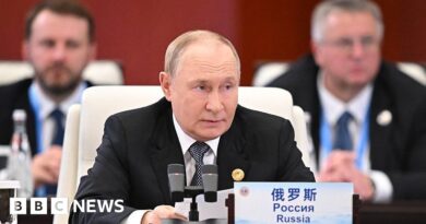 Ukraine war: Vladimir Putin says he reached 'understandings' with Donald Trump over war's end