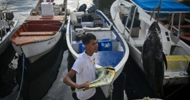 A fisherman holds his catch at a harbour in Caraballeda, La Guaira State, Venezuela on September 24, 2025. Venezuelan fishermen take precautions in response to the United States military deployment in the Caribbean, which has left destroyed boats belonging to alleged drug traffickers. (Photo by Federico PARRA / AFP)