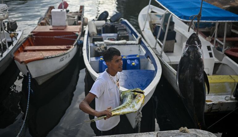 A fisherman holds his catch at a harbour in Caraballeda, La Guaira State, Venezuela on September 24, 2025. Venezuelan fishermen take precautions in response to the United States military deployment in the Caribbean, which has left destroyed boats belonging to alleged drug traffickers. (Photo by Federico PARRA / AFP)