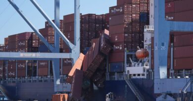 Watch dozens of containers slide off a ship into a California port