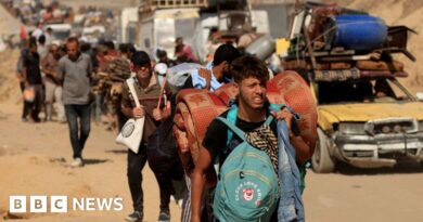 What does recognising a Palestinian state mean?