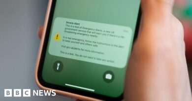 'Keep your cool' during emergency alert test, government says