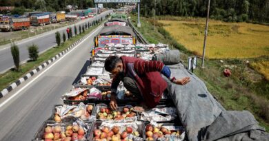‘Gone to waste’: Kashmir growers watch apples rot as key highway is blocked