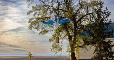 Amazon to resume drone delivery following crash in Arizona | TechCrunch