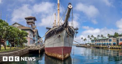 Anger as historic Clyde ship towed out to sea and sunk in Hawaii