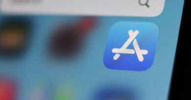Apple removes ICEBlock app from App Store