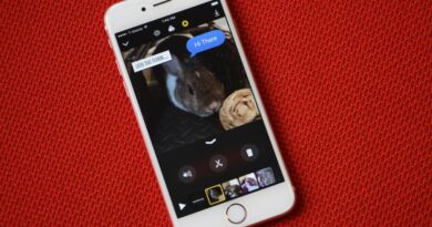 Apple says goodbye to the Clips app | TechCrunch