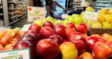 As tariffs hit, Americans grapple with rising bills and multiple jobs