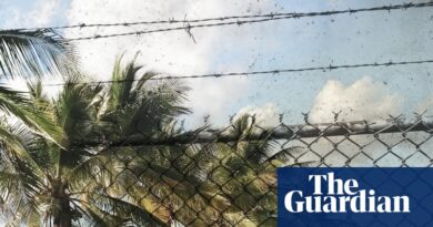 Australia lacks ‘legitimate objective’ in fast-tracking Nauru deportations, Labor-led committee finds
