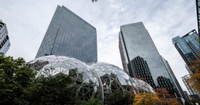 Big companies like Amazon say they're dumping thousands of jobs because of AI. Is that the real reason?