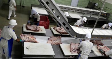 Brazil’s beef exports to China surge as Trump’s tariffs shift global demand