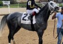 Breeders’ Cup Late Pick Four At Del Mar  Produces Nice Payouts