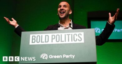 Can Zack Polanski's Greens turn momentum into power?