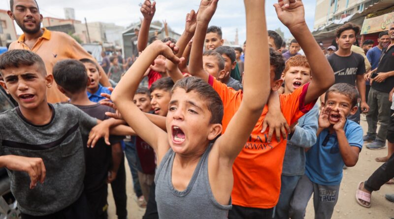 Celebrate the ceasefire, but don’t forget: Gaza survived on its own