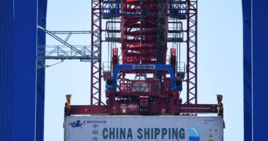 China overtakes the US as Germany’s largest trading partner