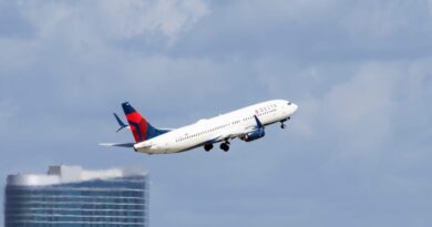 Delta 'implores' Congress to end government shutdown as workers continue to work 'mandatory overtime'