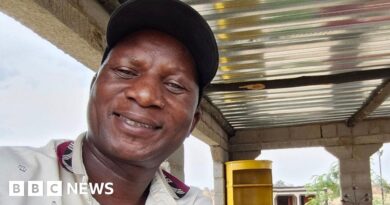 Desire Moyo: Zimbabwe lawmaker dies after his car hits an elephant