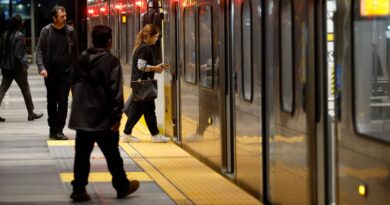 Don't panic: AI isn't here for your job (yet)