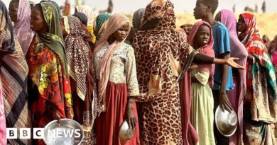 El-Fasher: UN pleads for safe passage for civilians trapped in war-hit Sudan city