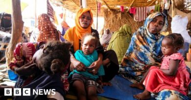 El-Fasher attack: At least 60 people killed in drone strike in besieged Sudan city