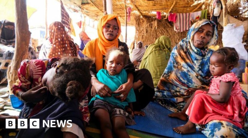 El-Fasher attack: At least 60 people killed in drone strike in besieged Sudan city