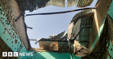 El-Fasher attack: Thirteen killed as hospital shelled in besieged Sudan city, BBC told