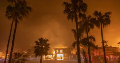 A firefighter watches the flames from the Palisades Fire burning homes on the Pacific Coast Highway amid a powerful windstorm on January 8, 2025 in Los Angeles, California.