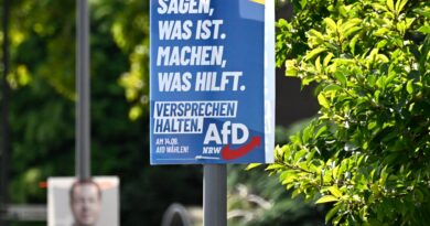 Far-right AfD party may win first German city mayor post in run-off vote