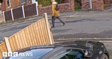 Footage appears to show synagogue attacker minutes before killing
