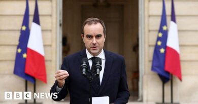 French Prime Minister Sébastien Lecornu resigns after less than a month