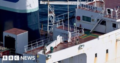 French troops board oil tanker linked to Russian 'shadow fleet'