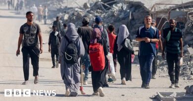 Gaza ceasefire: US says Hamas is planning 'imminent' attack on civilians