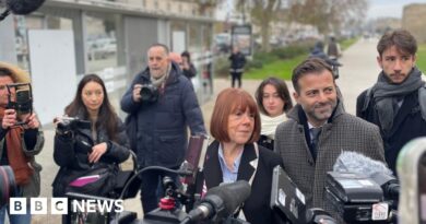 Gisèle Pelicot faces one of her rapists in court again