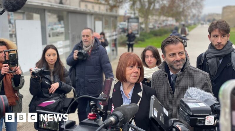 Gisèle Pelicot faces one of her rapists in court again